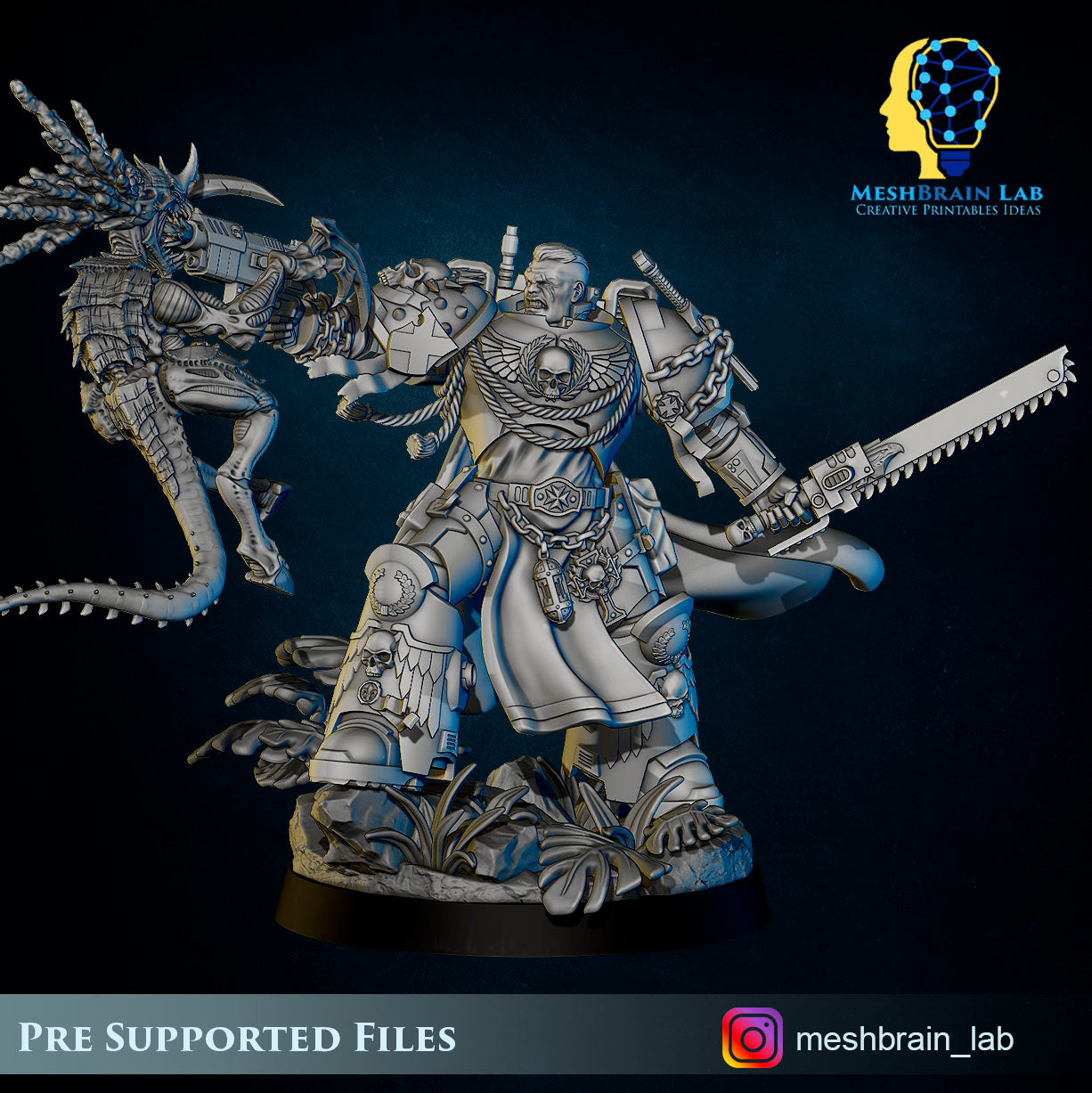 Commander vs Swarm Warrior, MeshBrain Lab
