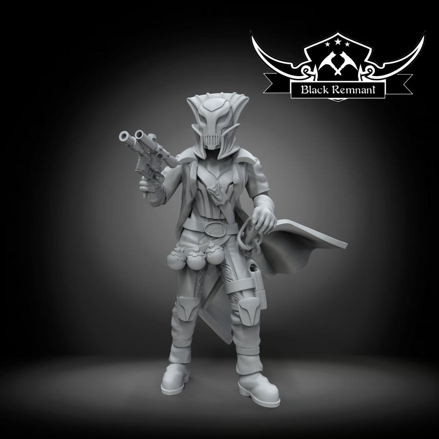 The pirate queen, Black Remnant