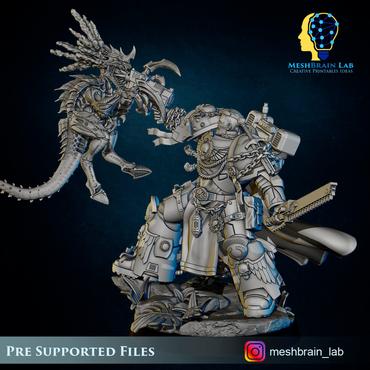 Commander vs Swarm Warrior, MeshBrain Lab