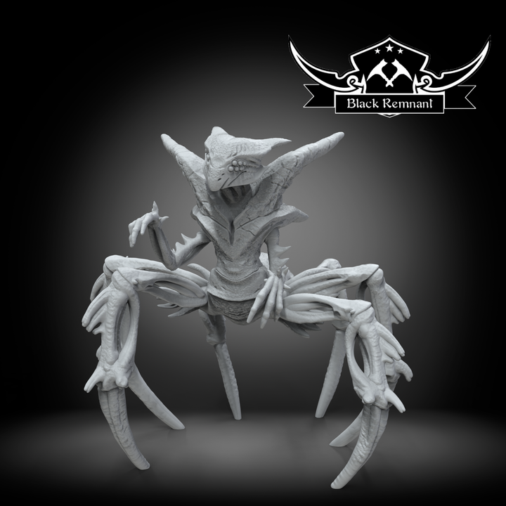 Ancient void entity, Black Remnant