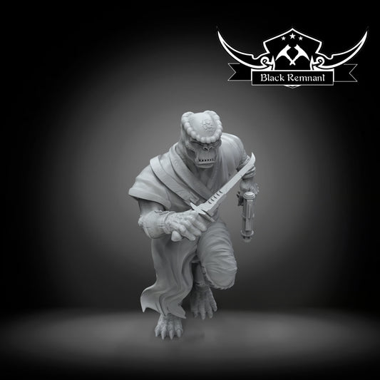 Bodyguard of blue admiral, Black Remnant