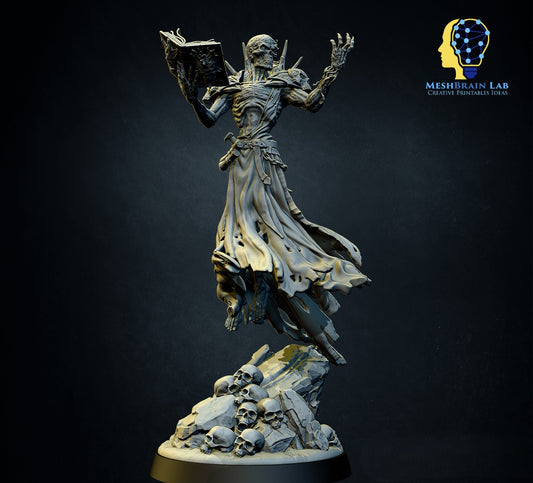 Lich Lord Vecna, MeshBrain Lab