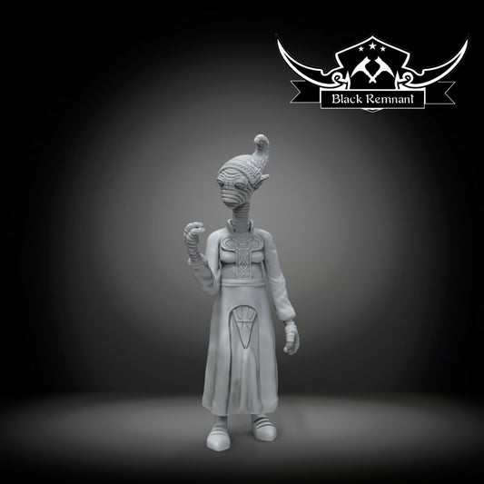 Presidente of the commerce guild, Black Remnant