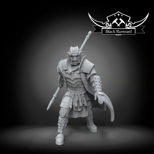 The last shadow warrior, Black Remnant