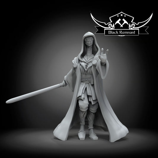 The noble jedi, Black Remnant
