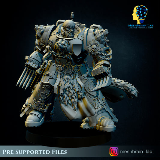 Master of the order 1, MeshBrain Lab